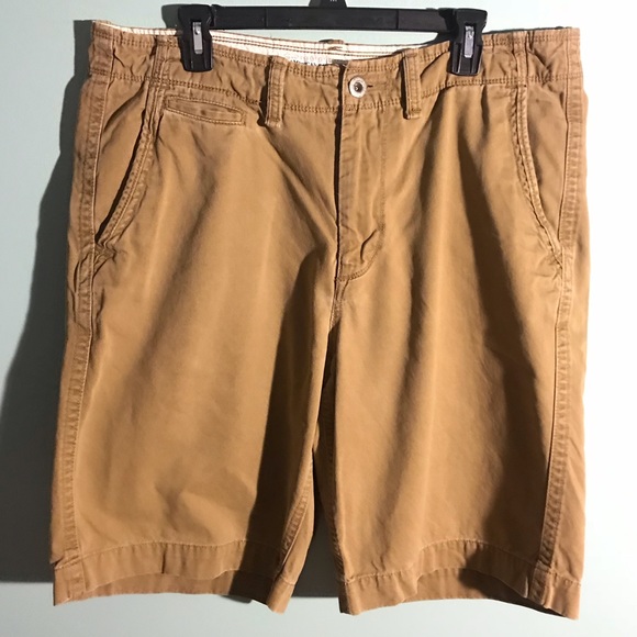 American Eagle Outfitters Other - American Eagle Flat Front Shorts Longer Length 36